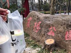 -TPLUS茶家(淮海店)