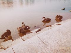 景点-长春世界雕塑园冰雪艺术天地