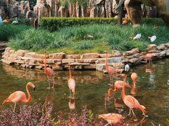 -北京野生动物园