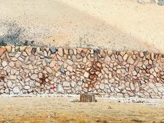 -福建土楼（华安）旅游区•大地土楼群