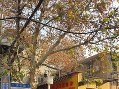 -汪记鲜鱼糊汤粉(沈阳路总店)