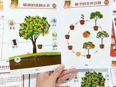 -艺年级儿童语言艺术中心(冉家坝爱融荟城店)