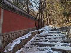 -阳台山自然风景区