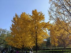 -吴裕泰茶庄(前门大街店)