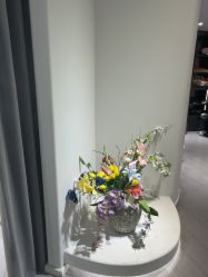 -星光兔·西扶海棠·写真馆(景德镇店)