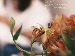 -艾蜜西餐厅(梅园店)