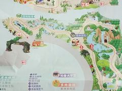 -正佳雨林生态植物园