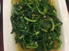-锦江中华村农家乐饭庄