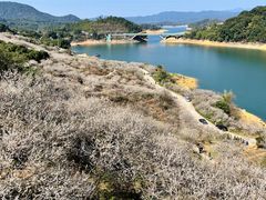 -广州市流溪河国家森林公园