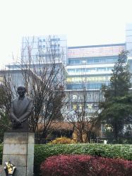 -首都医科大学附属北京儿童医院