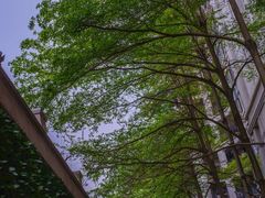 -天河体育中心篮球城