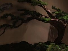 -揽季锅物会.福建黄鱼.海鲜姿造(五四路店)