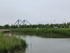 -春花秋色城市公园