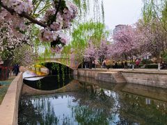 -海棠花溪(元大都城垣遗址公园)