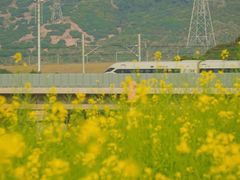 -光明小镇欢乐田园