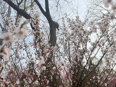 -天津水上公园