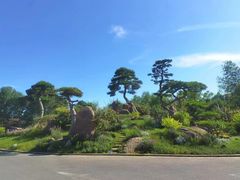 -罗红摄影艺术馆