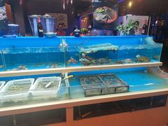 -风暴音乐烧烤串吧