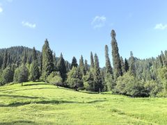-新疆那拉提国家旅游度假区