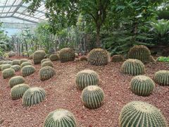 -呀路古热带植物园