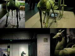 -贵州省博物馆(新馆)