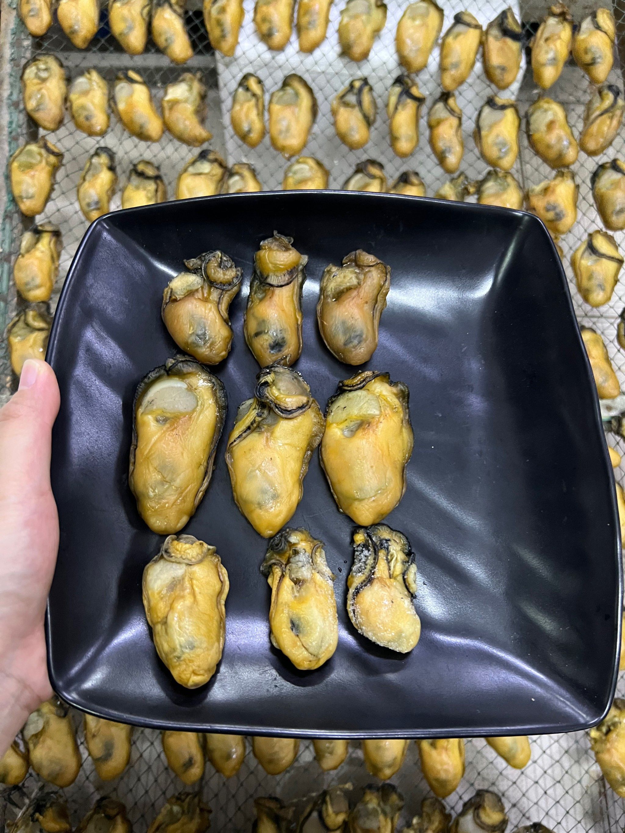 30年老店  各种海味干货  花胶,海参,金蚝豉,鲍鱼,佛跳墙等等#8号线