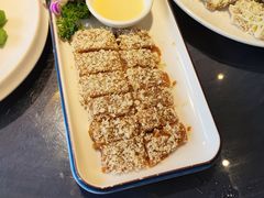 -金龙寨(龙城路店)