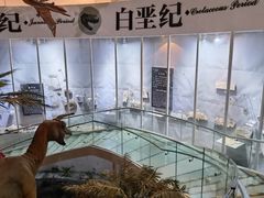 -烟台自然博物馆