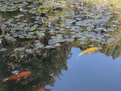 -杭州植物园