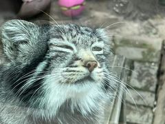 -青藏高原野生动物园