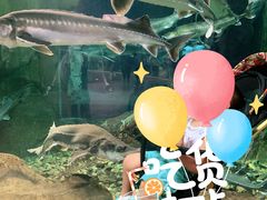 -哈尔滨波塞冬海底世界