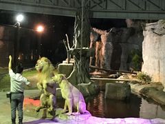 -清迈夜间动物园