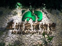-野象谷景区