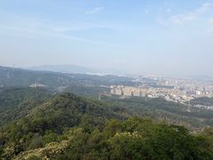 -大屏嶂森林公园