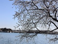 -颐和园