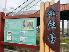 -黑瞎子岛探秘野熊园