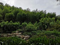 -玉女潭景区