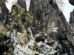 -玉石林风景区
