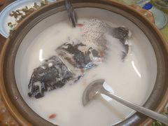 -全乐鱼馆·淳牌有机鱼直营店