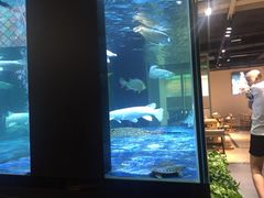 -程记私房火锅兔(总店)