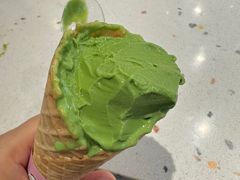 -THE MATCHA TOKYO抹茶东京