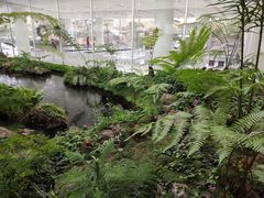 -罗红摄影艺术馆