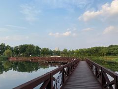 -金银湖国家城市湿地公园