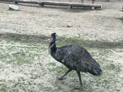 -西安秦岭野生动物园