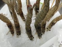 -石鼎香·非遗淮扬火锅(江都龙川桥店)
