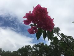 -福田红树林生态公园