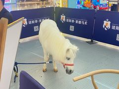 -万达广场(厦门湖里店)