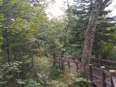 -凤凰山国家森林公园