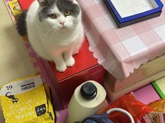 -宠颐生宠物医院外科·内科·皮肤科·影像科(石龙店)