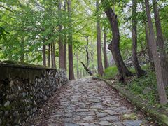 -阳台山自然风景区